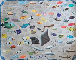 Rotes Meer Fische Poster - Tauchen & Safari Karte, Geodia