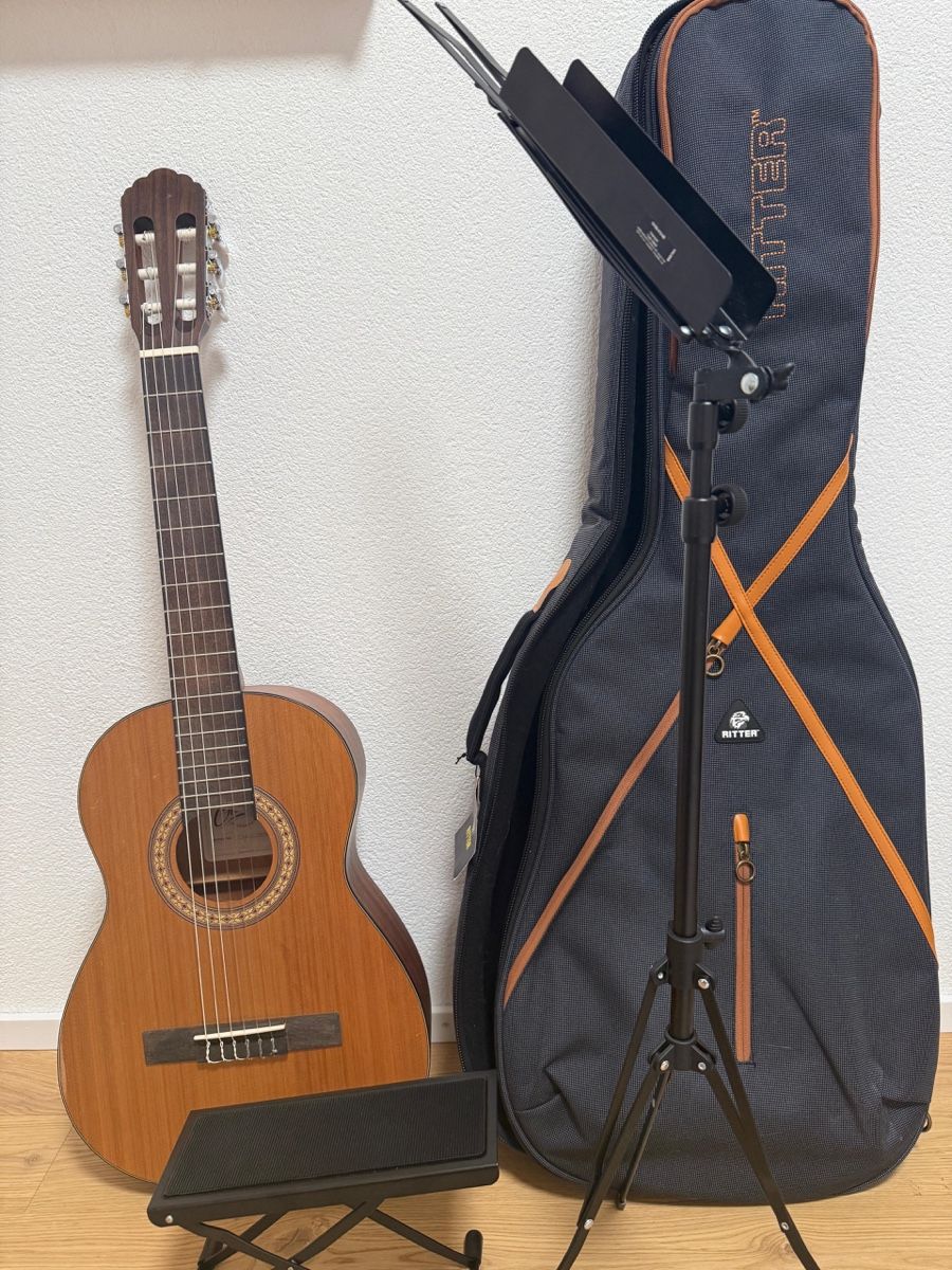 Charvel Musikinstrumente: Charleva CHARV-D3CM – Neu (gemäss Beschreibung) aus Basel von Arbarella