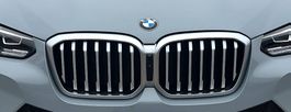 BMW x3 Niere / Ziergitter / Kühlergrill mit Kameraloch