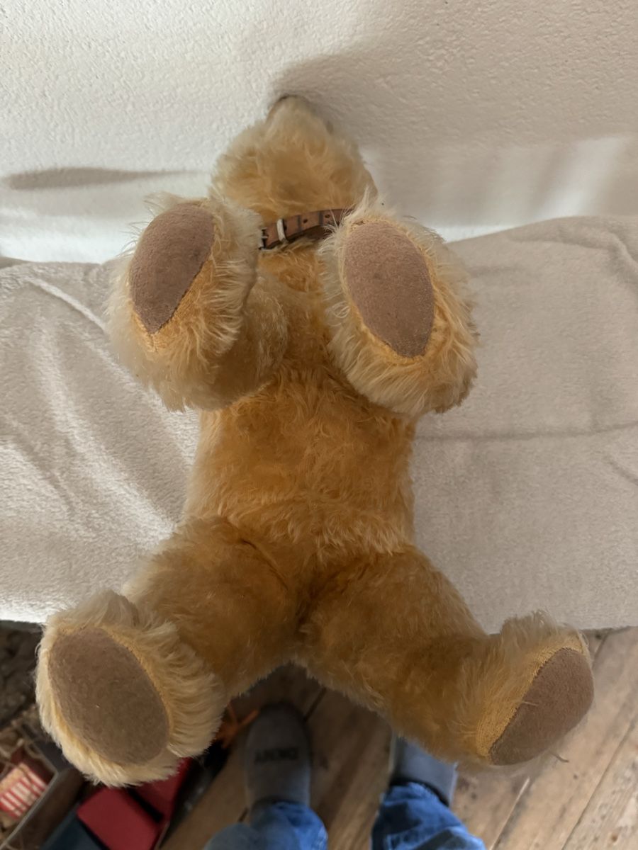 Spielzeuge: Teddy – Gebraucht aus Binningen von kal_5nsj 2