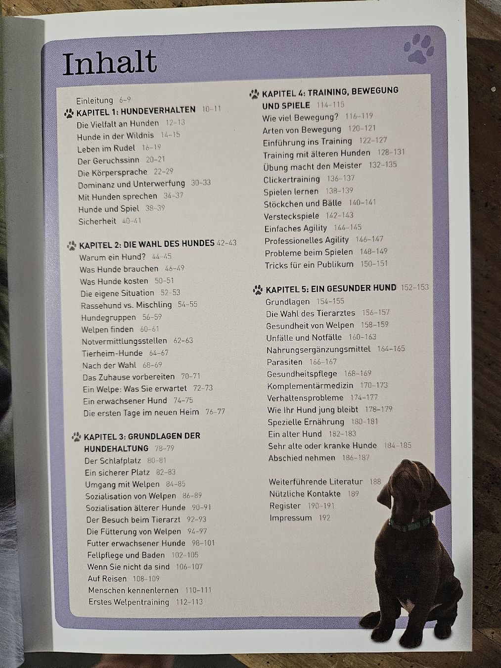 Bücher: Das Hunde-Versteher-Buch, neuwertig! – Neu (gemäss Beschreibung) aus Biel/Bienne von Rosen21 2