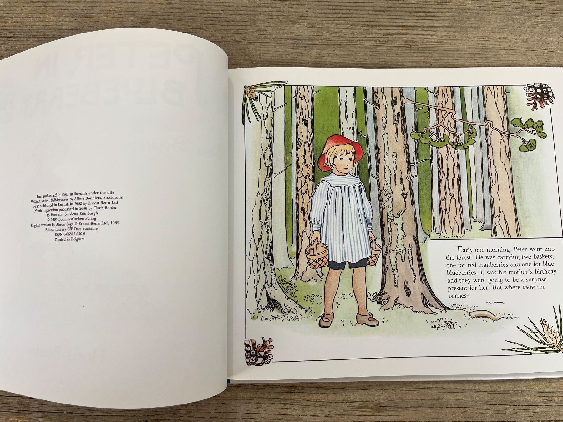 Libri: Elsa Beskov: Peter in Blueberry Land – Usato da Pfäffikon ZH venduto da buresi 1
