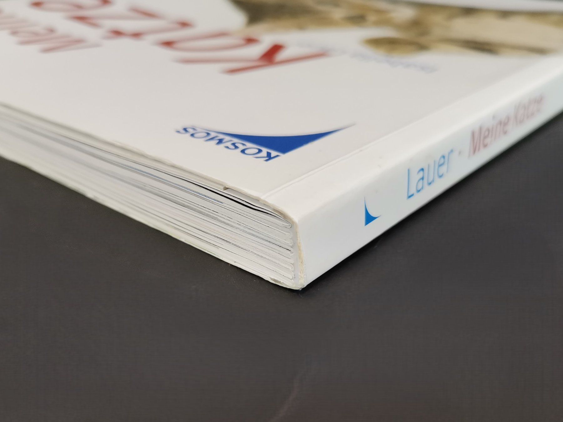 Bücher: Buch - Meine Katze – Gebraucht aus Schaffhausen von Restwert_SH 7