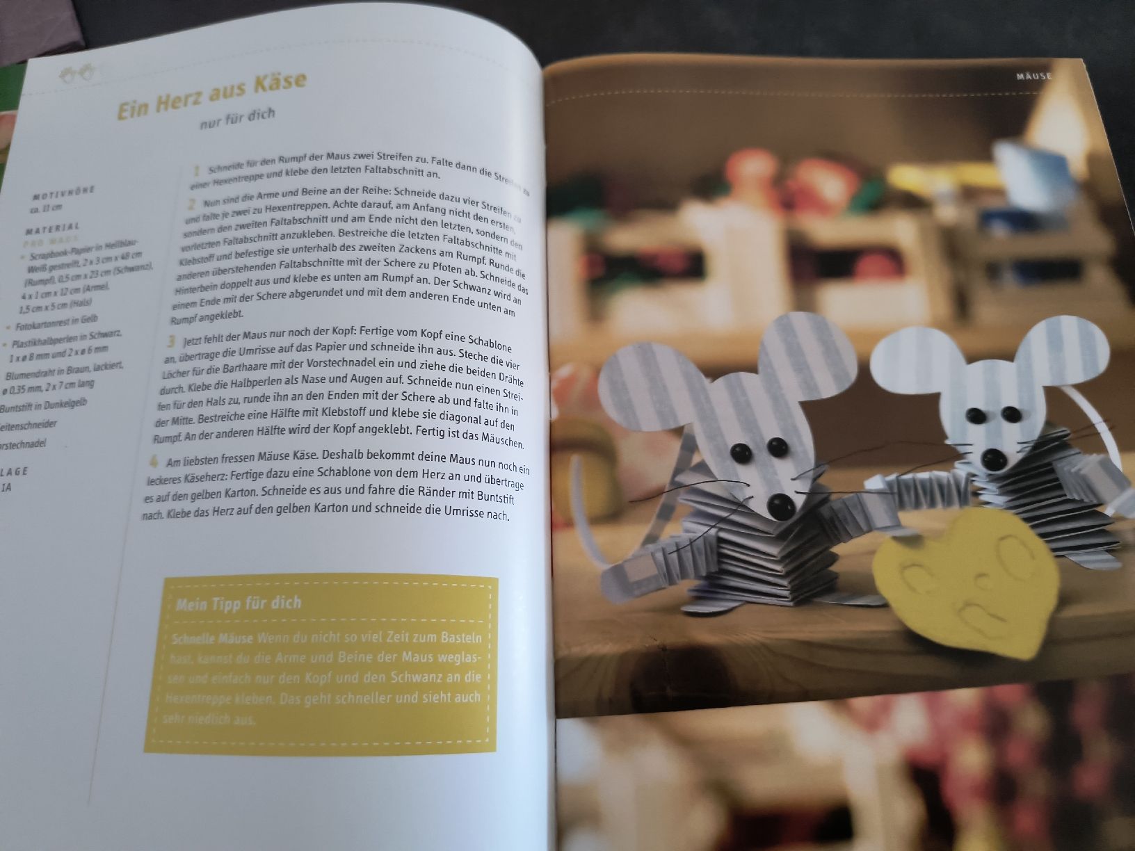 Bücher: Faltideen einfach tierisch Buch Basteln mit Papier  – Gebraucht aus Schöfflisdorf von KKB-Team1 1