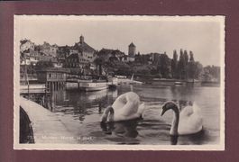 MURTEN / MORAT - Le Port - Cygnes - Bateau Yverdon - 1949