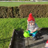 Gartenzwerg