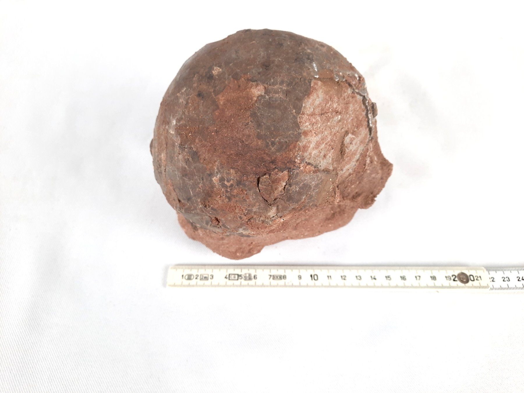 Fossili: Dinosaurier Ei versteinert – Usato da Beinwil am See venduto da Restwert_Beinwil 7