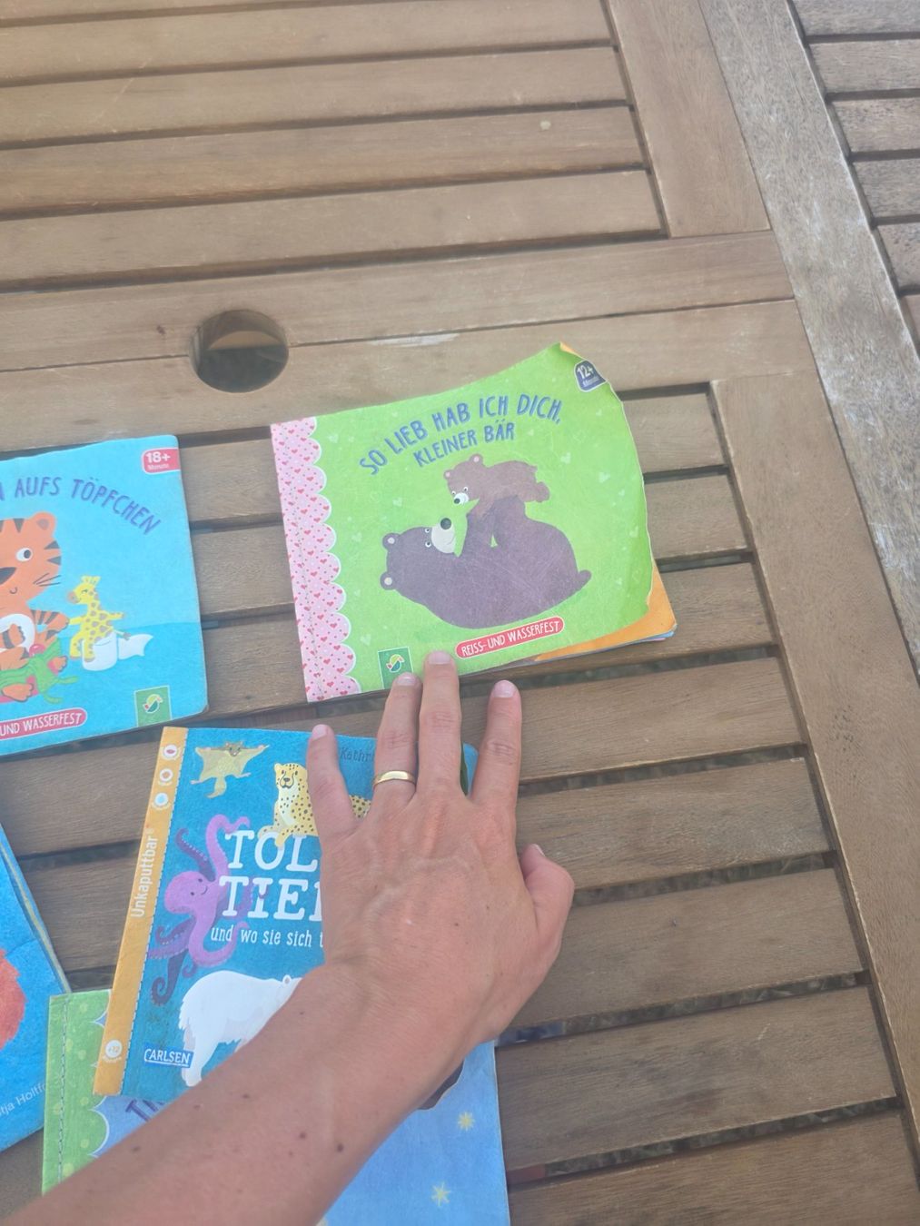 Bücher: Unkaputtbar Pixi Bücher 5 Stück – Gebraucht aus Wichtrach von Elenagonzi 1