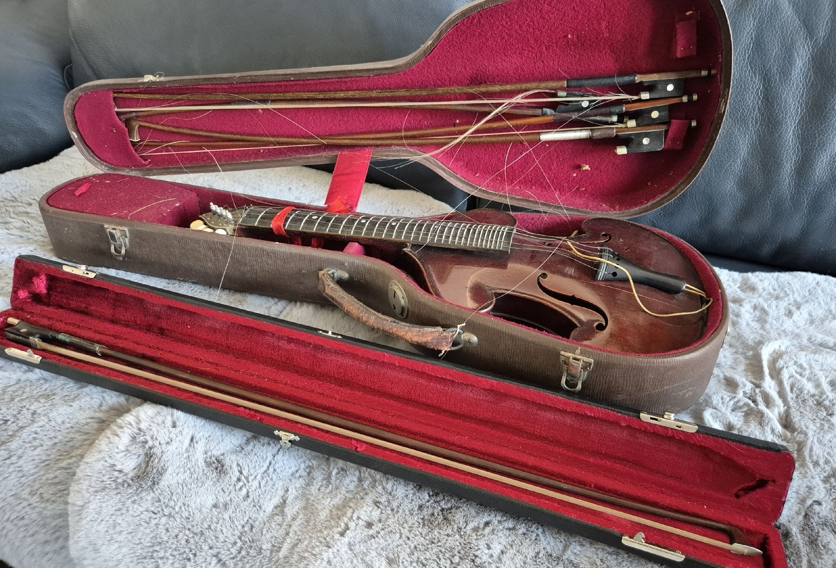 Musikinstrumente: Alte Diskantgambe – Gebraucht aus Zürich von Dalema13 1