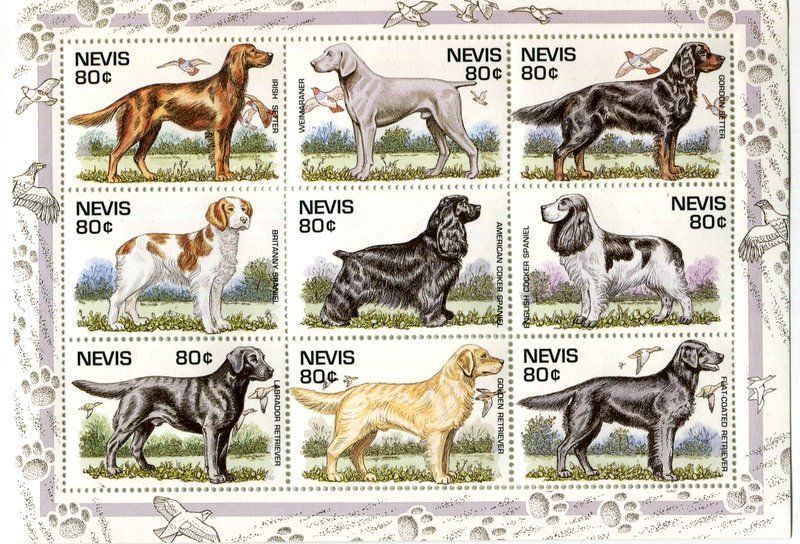 Tutti i francobolli: Block Gordon Setter, Irish Setter, Labrador Retriever. Nevis – Nuovo e nell'imballaggio originale da Basel venduto da Butsch5