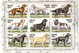 Block Gordon Setter, Irish Setter, Labrador Retriever. Nevis