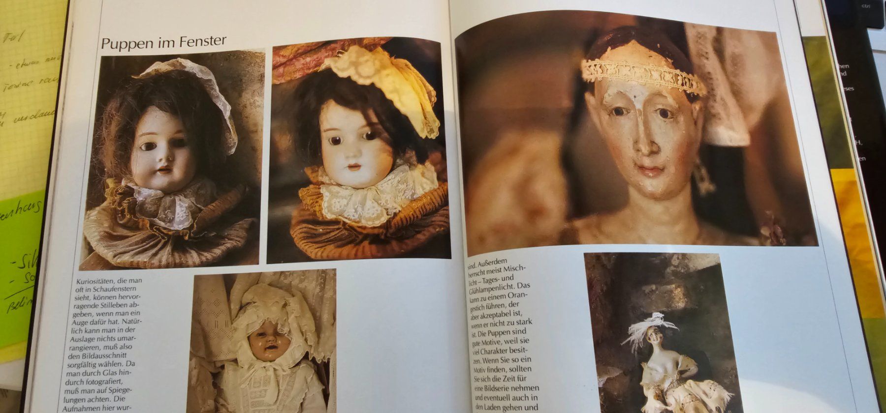 Libri: Fotokurs von JOHN HEDGECOE - Profil werden – Usato da Tuggen venduto da man_qk6c 4