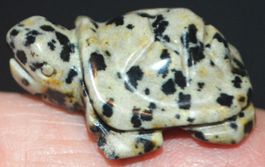 Deko – Heilsteine F-465 – Schildkröte – Dalmatiner Jaspis