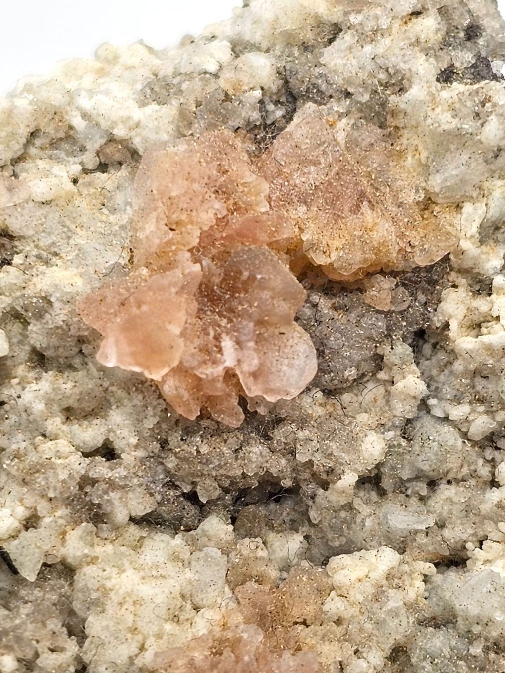 Minerali & Pietre curative: Rosa Fluorite Grimsel Pass, Haslital, Bern – Usato da Figino venduto da minshop 5