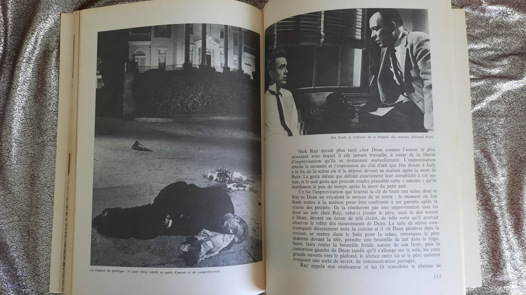 Libri: JAMES DEAN par John Howlett en français – Usato da Lausanne venduto da BrigitteAnne 2