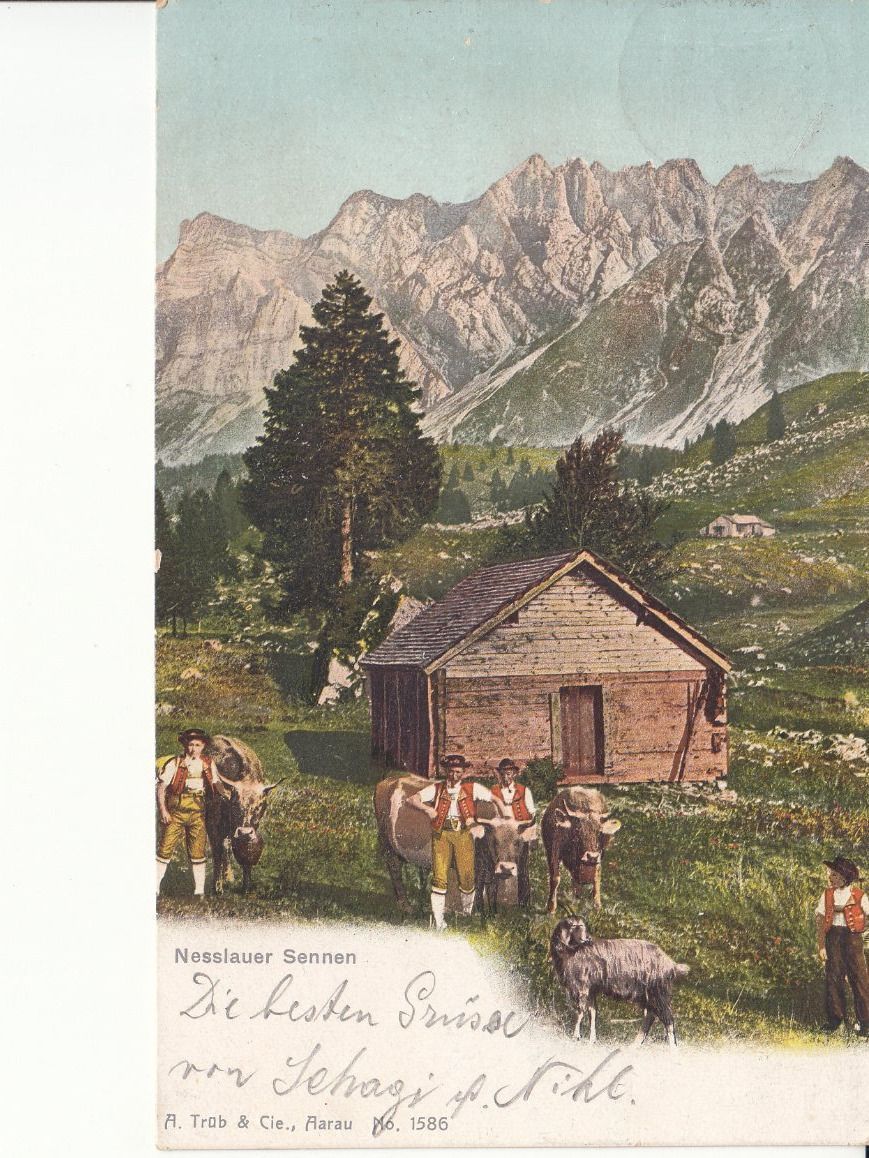 Ansichtskarten: Nesslau 1909 – Gebraucht aus Bürglen TG von StampGraf