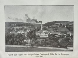 Schöner Schweizer Käserei- & Molkerei-Kalender von 1908