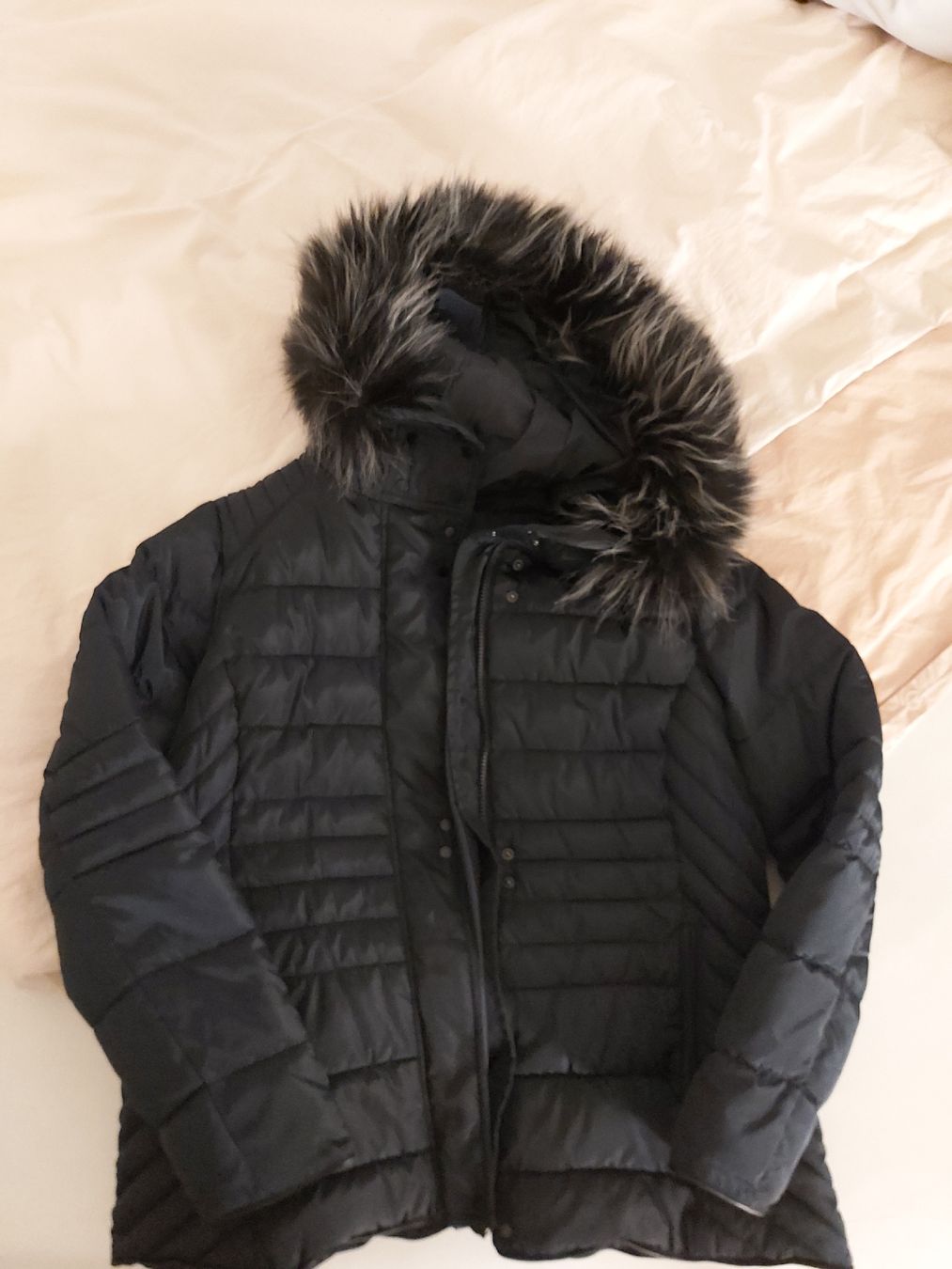 C&A Giacche: Winterjacke C&A Gr.48 neu – Nuovo (secondo la descrizione) da Luzern venduto da Glitzer76