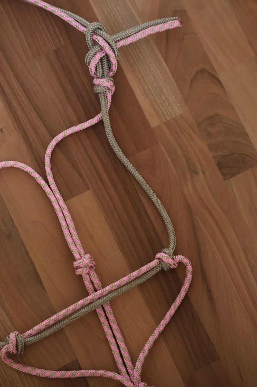 Briglie & Cavezze: Knotenhalfter Pony NEU – Nuovo e nell'imballaggio originale da Meggen venduto da Orrinka20 3