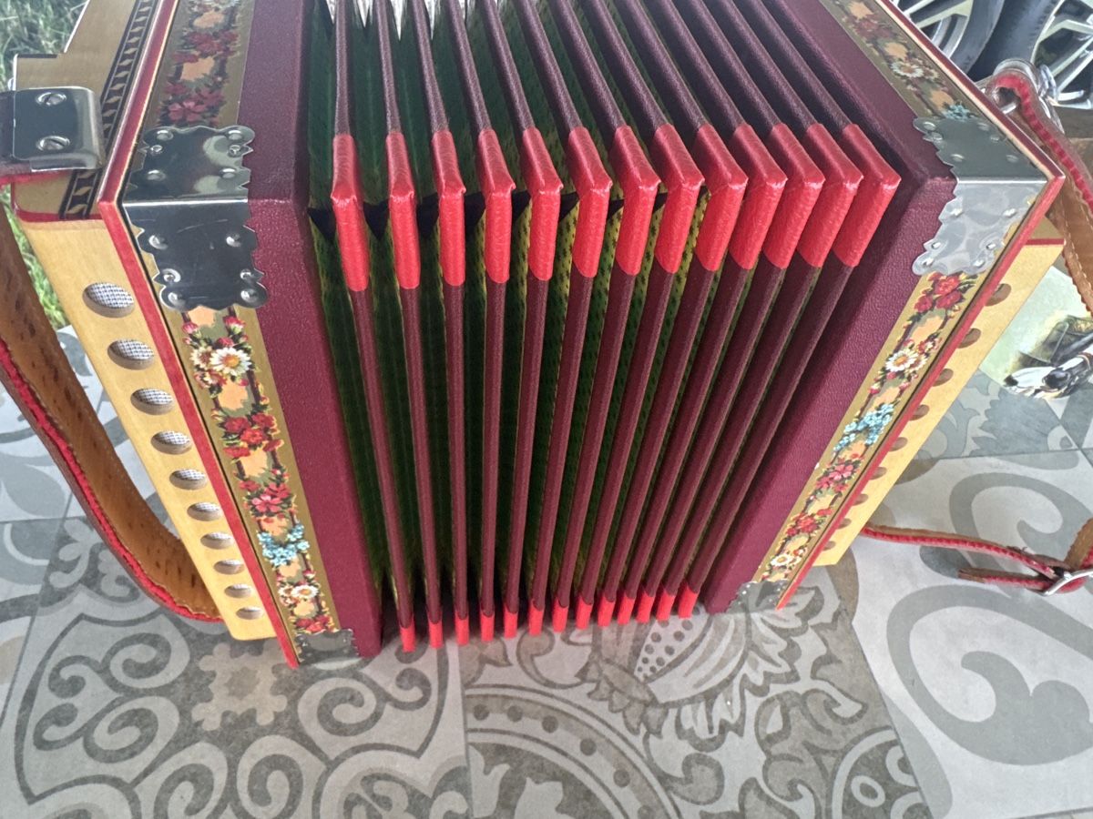 Strumenti musicali: Örgeli Iten  B. 2 chörig  – Usato da Bern venduto da Daniel-wyss 5