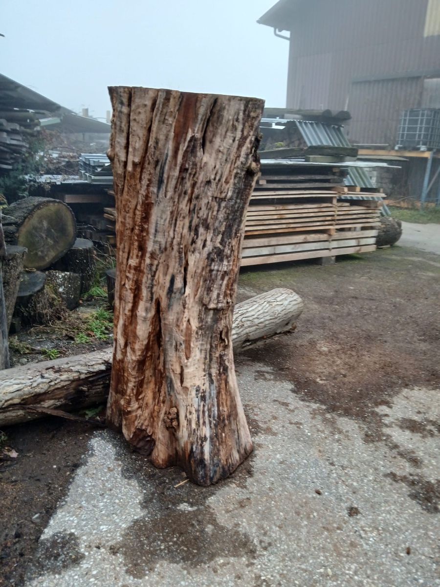 Holzartikel: Apfelbaum 1.6m – Gebraucht aus Häggenschwil von amm_6jdq 1