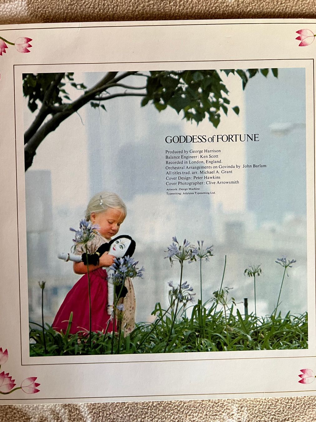 Dischi in vinile: GODDESS of FORTUNE – Usato da Leysin venduto da velatara 1