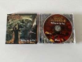 PAIN PRINCIPLE - Waiting for the flies CD Metalcore 2007