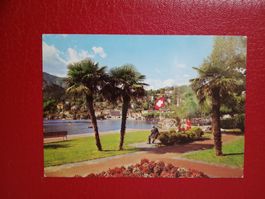 Ascona Tessin Lago Maggiore Partie am See
