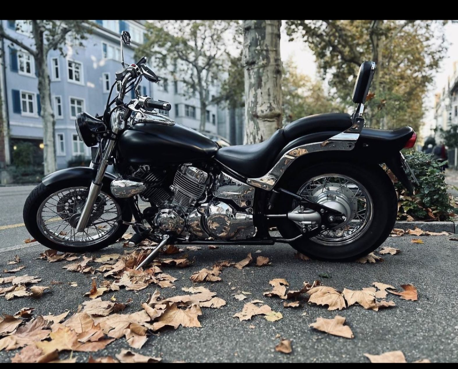 Yamaha Chopper: Yamaha XVS 650 25kw – Usato da Wohlenschwil venduto da Kai_der 2