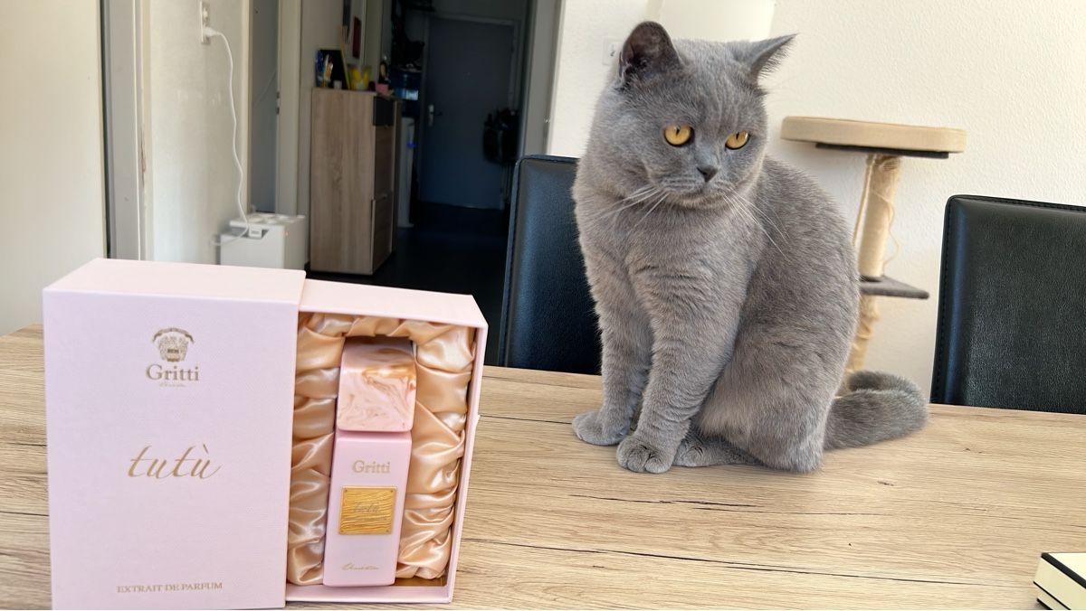 Profumi & Eau de Toilette: Parfum Gritti Tutù! – Nuovo (secondo la descrizione) da La Chaux-de-Fonds venduto da GabrielaKlein 1