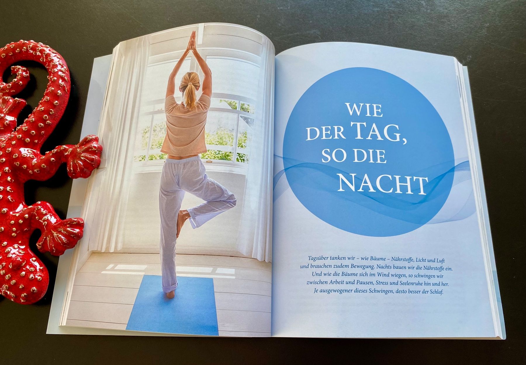 Bücher: Dr. Felds grosse Schlafschule / GU Ratgeber – Gebraucht aus Nussbaumen AG von schuba2000 4