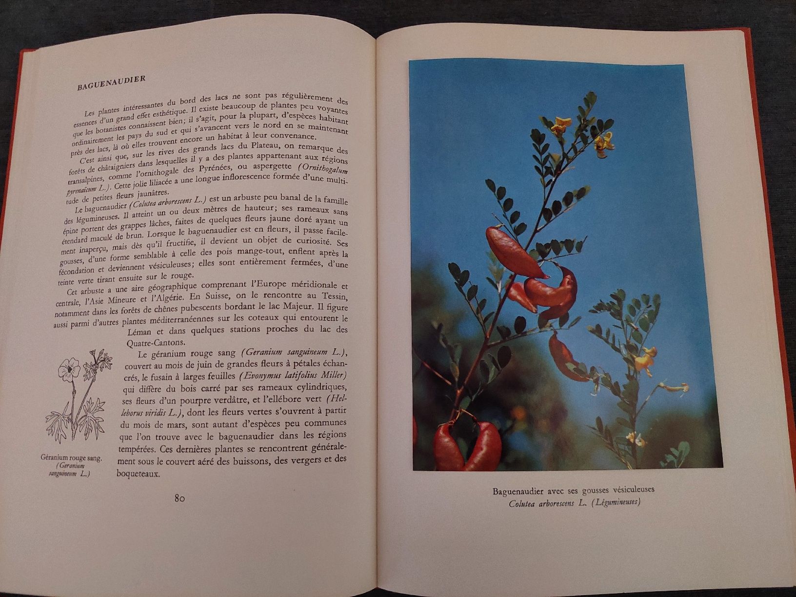 Bücher: La Suisse en Fleurs – Gebraucht aus Yverdon-les-Bains von pri_x6j6 3