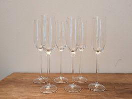 6x Sektglas