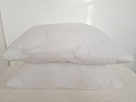 Zwei Kissen mit Polyesterfüllung 50cm x 50cm