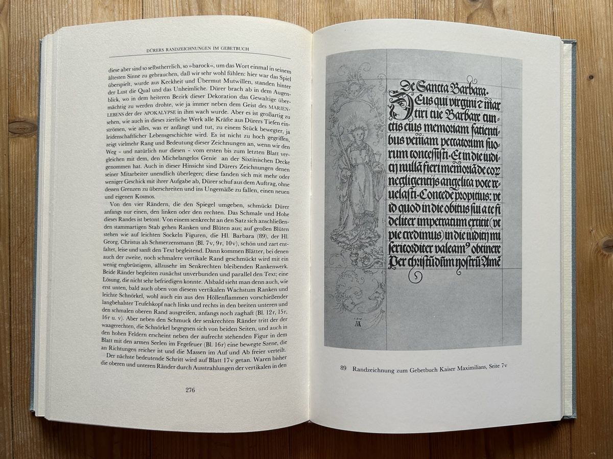 Libri: Theodor Hetzer - Die Bildkunst Dürers – Usato da Himmelried venduto da rasmus67 8