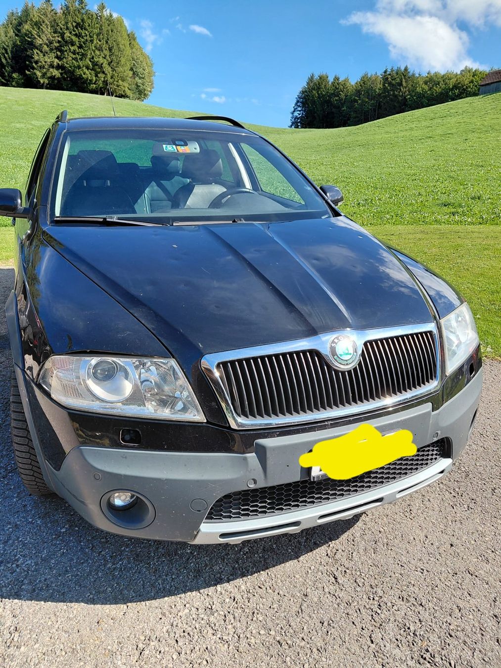 Skoda Automobili: Skoda Octavia Scout 4x4 – Usato da Oberegg venduto da A-Z.Handel.Loehrer