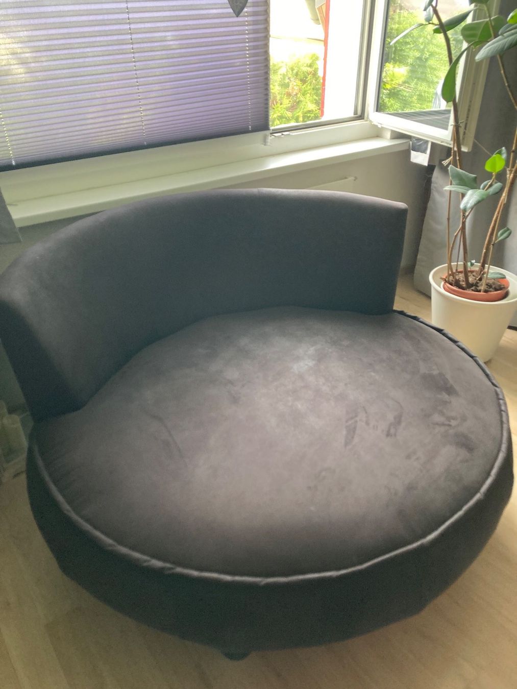 Poltrone: XXL Sessel – Usato da Oberwil Lieli venduto da PIXO84 1