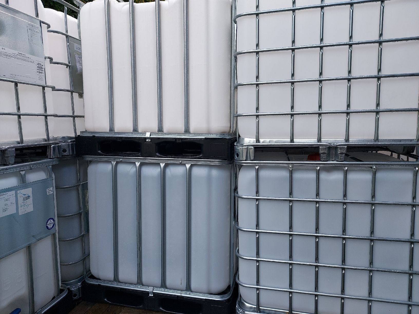 Contenitori edile: IBC Container / Wassertanks – Usato da Wuppenau venduto da Gastro.Wuppenau 2