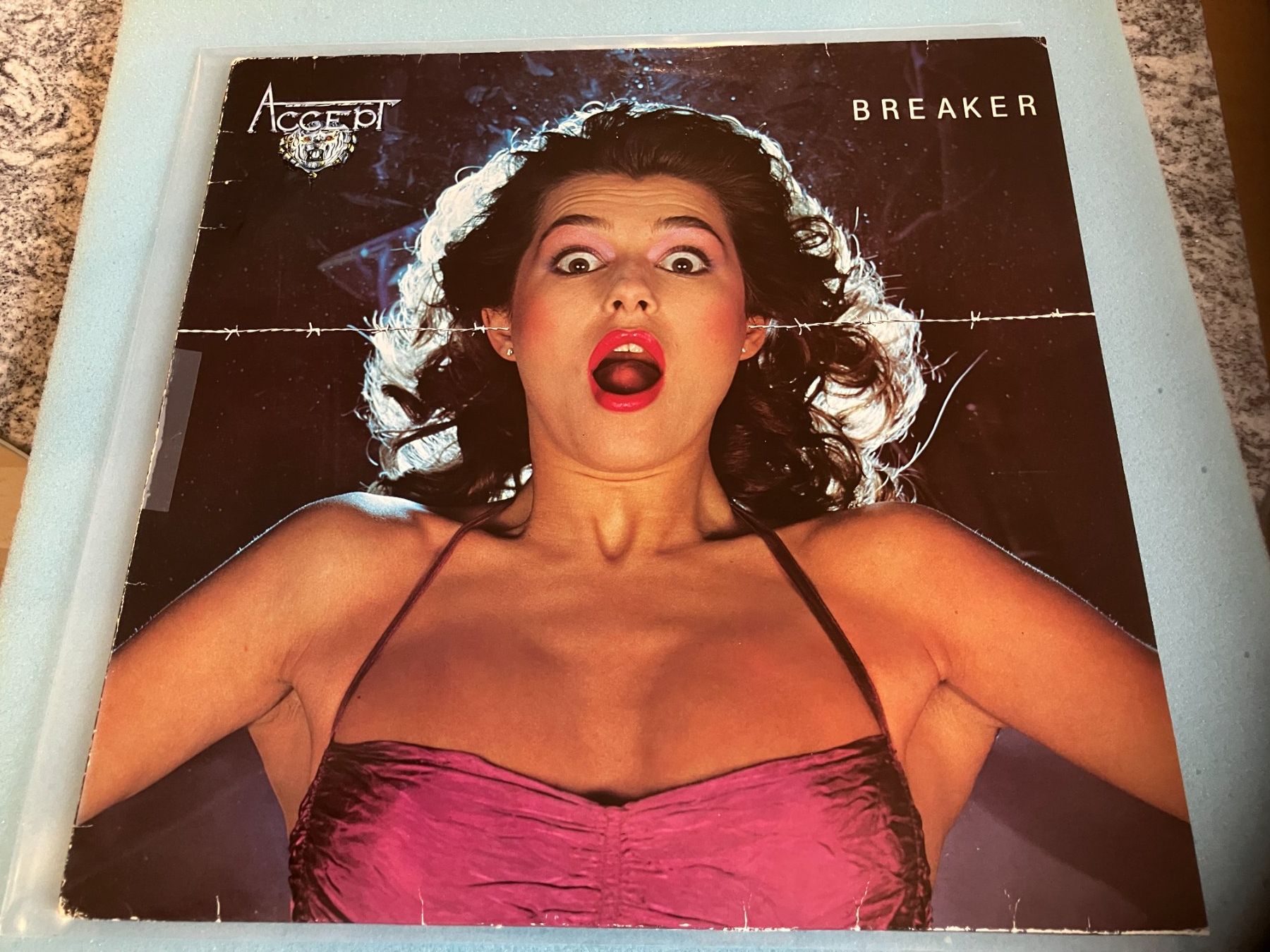 Dischi in vinile: Accept – Usato da Aarwangen venduto da Jukebox3