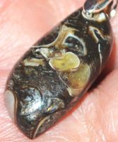 Anhänger L-5979 – Feder Achat Cabochon ca. 24x11mm