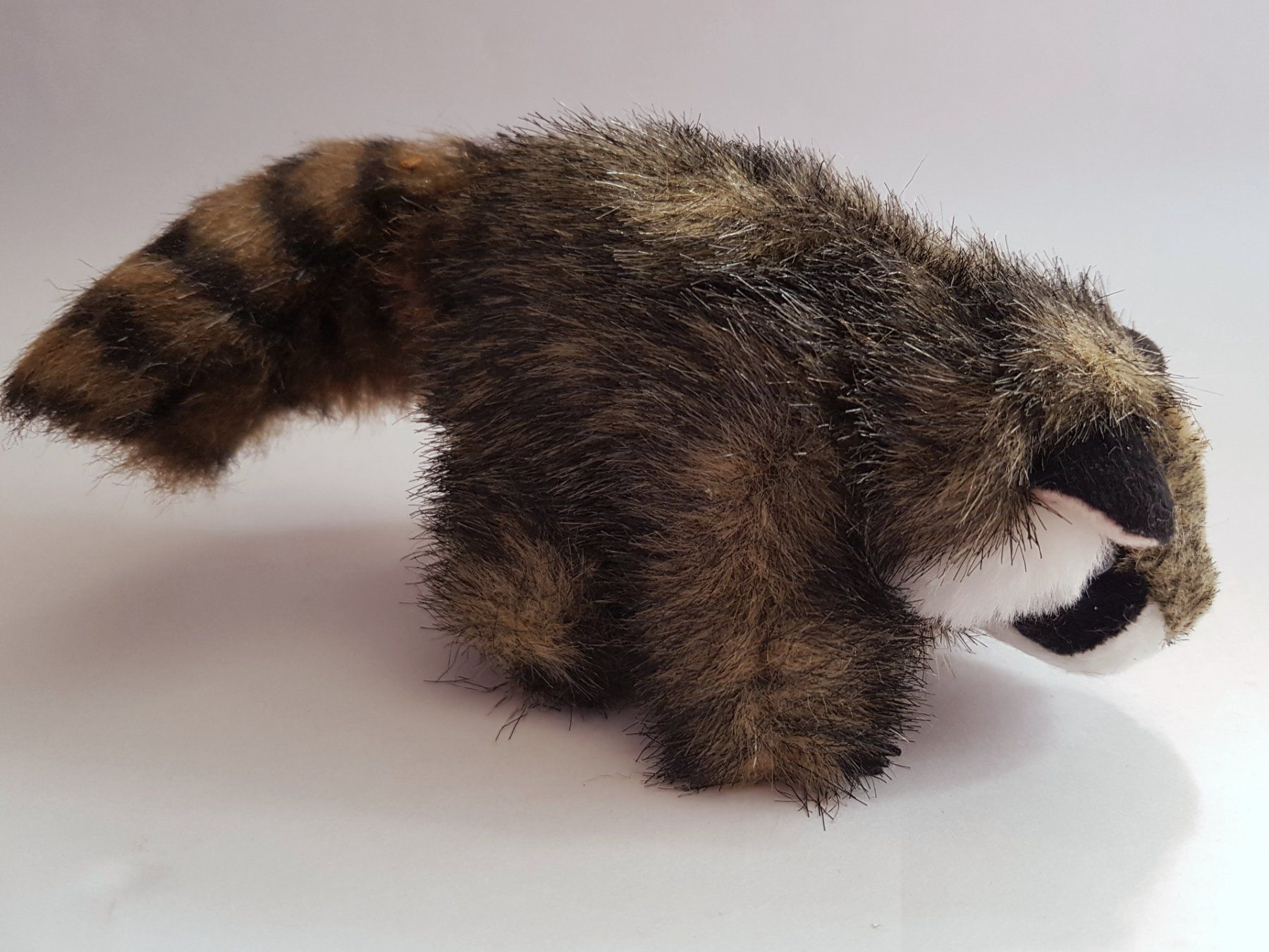 Bambole: FOLKMANIS: Fingerpuppe Waschbär  / NEU – Nuovo e nell'imballaggio originale da Dürrenäsch venduto da Didaedi 2