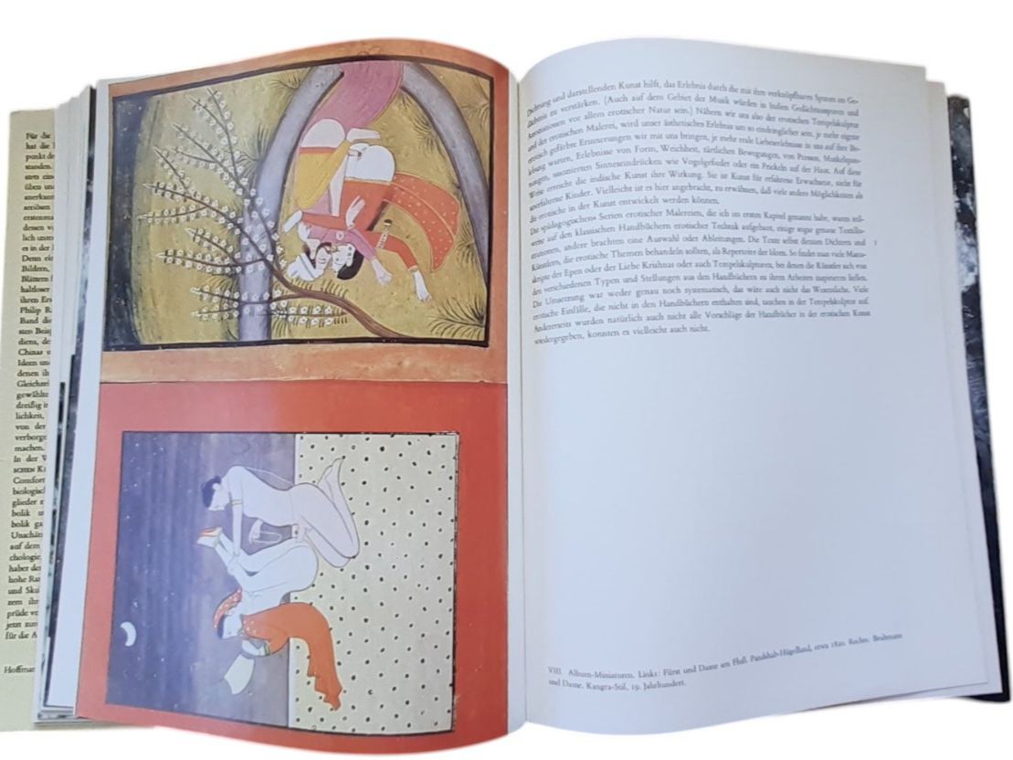 Libri: Geschichte der erotischen Kunst – Usato da Mörschwil venduto da aik_x8mc 8