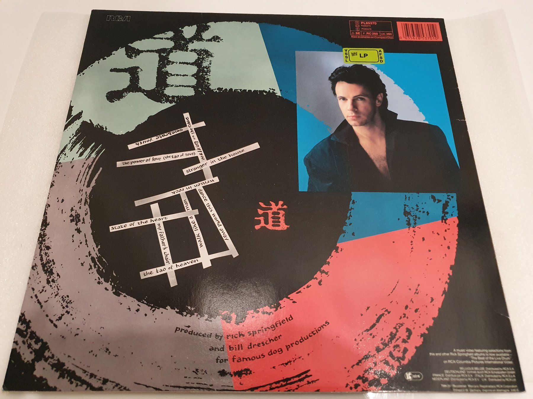 Schallplatten: Rick Springfield – Tao – Gebraucht aus Uster von Vinyl-Leidenschaft 1
