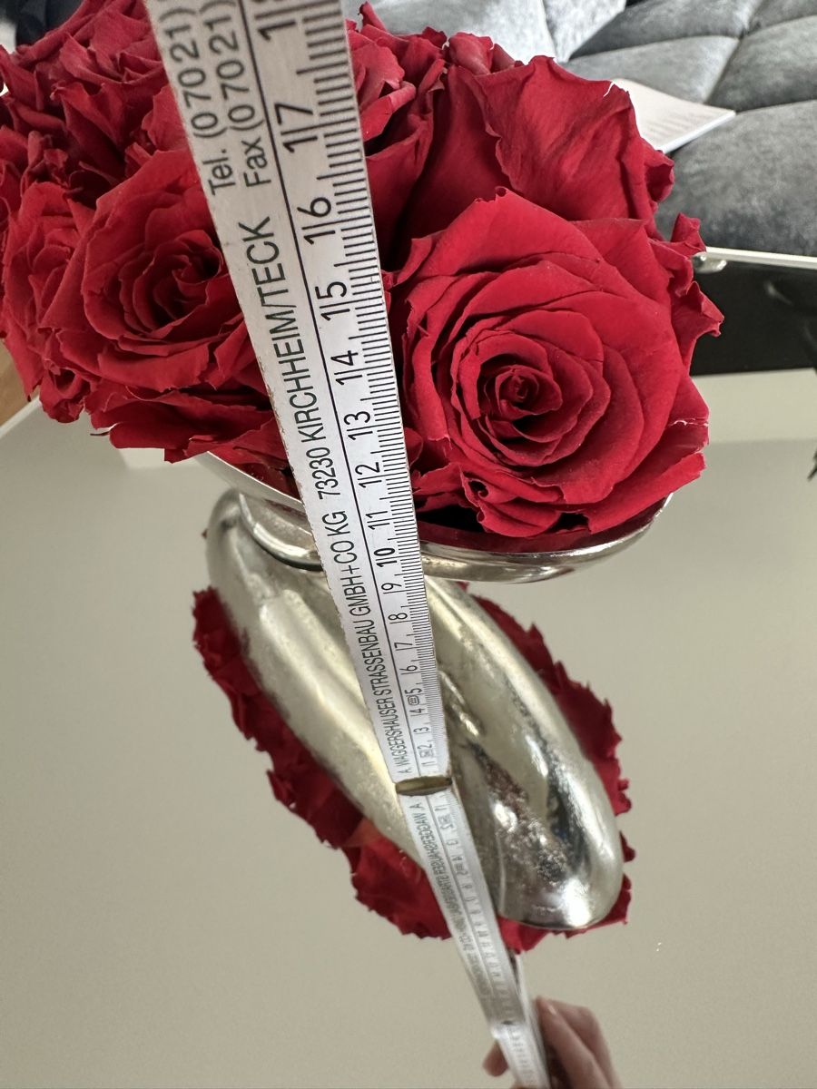 Tutte le decorazioni: Echte konserviere Rosen in einer edlen Metallschale – Usato da Zürich venduto da von_7vbl 5