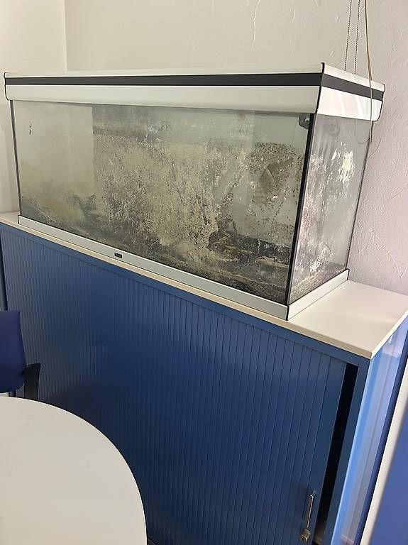 Aquarium: Aquarium 220L – Gebraucht aus Granges VS von pap_rb6n 2