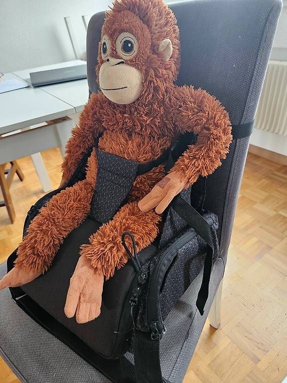 Borse & Zaini: Wickeltasche / Sitzerhöhung Kombi – Usato da Brugg AG venduto da jen_q2z5 2