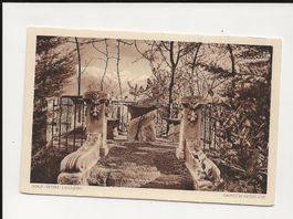 AK ca.1950 Golf Hotel Locarno Garten Ausblick 😍