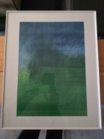 Bild Lithografie Druck ? signiert 50 cm x 40 cm