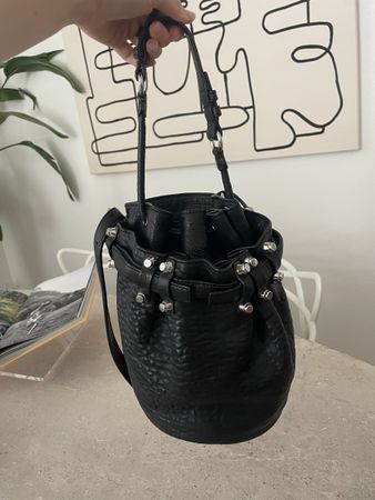 Black leather studded Alexander Wang bag