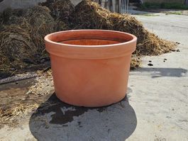 Grosser Blumenkübel 400L.